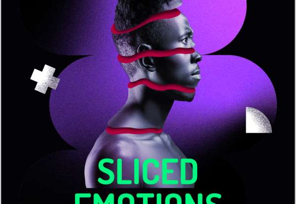 sliced_emotions